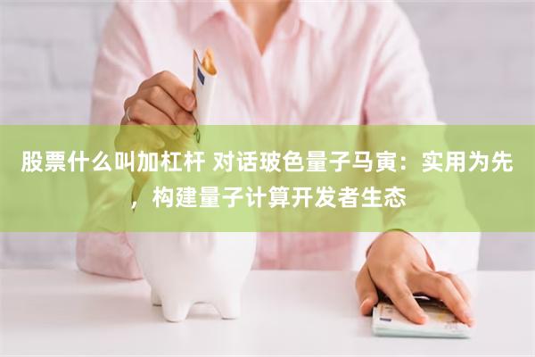股票什么叫加杠杆 对话玻色量子马寅：实用为先，构建量子计算开发者生态
