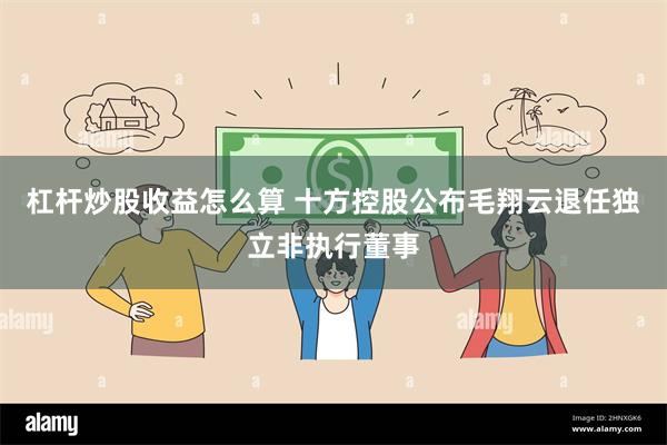 杠杆炒股收益怎么算 十方控股公布毛翔云退任独立非执行董事