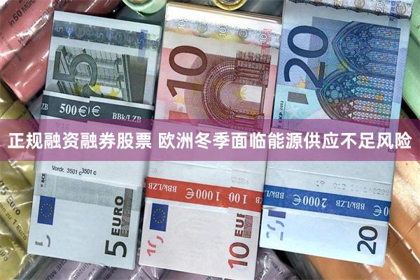 正规融资融券股票 欧洲冬季面临能源供应不足风险