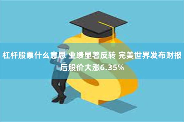 杠杆股票什么意思 业绩显著反转 完美世界发布财报后股价大涨6.35%