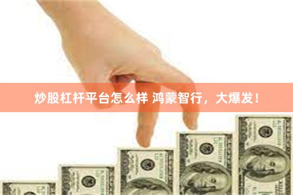 炒股杠杆平台怎么样 鸿蒙智行，大爆发！