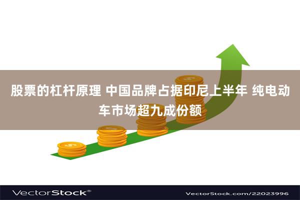 股票的杠杆原理 中国品牌占据印尼上半年 纯电动车市场超九成份额